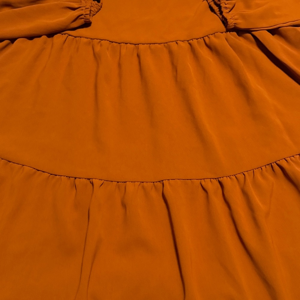 Charming Orange Rust Colored Dress - Picture 3 of 5